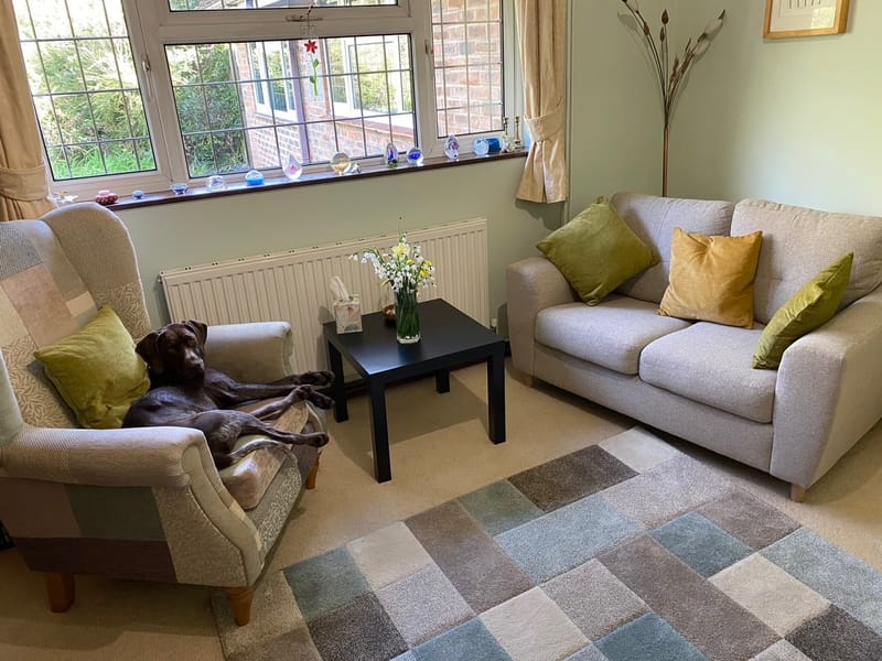 Lisa's counselling room in Heathfield — soft green walls, armchair, sofa and her therapy dog